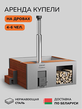 Аренда купели с подогревом на дровах Scandinaf Elite 200, 4-6 чел., 1 день, доставка